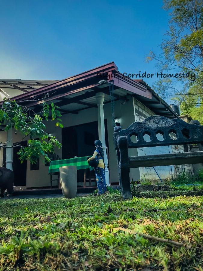 Sigiri Corridor Home Stay สิกิริยา ภายนอก รูปภาพ